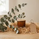 Ramuri eucalipt uscat - Decor natural Ramuri eucalipt uscat - Decor natural