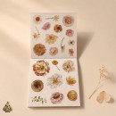 Carte cu stickere Blossom Season Autumn Colors and Flowers – flori de toamna, PET si washi, aprox. 120 bucati